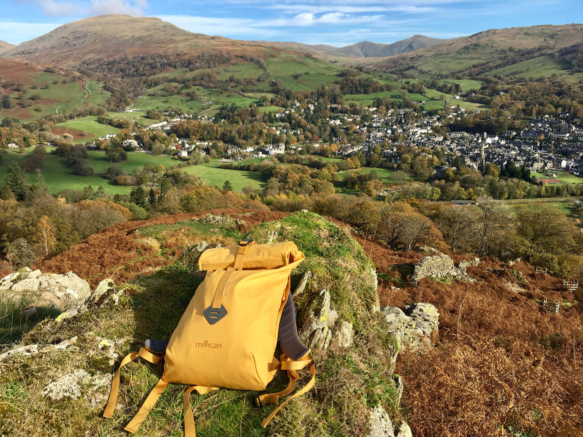 Growing a Targeted Email Audience for Millican