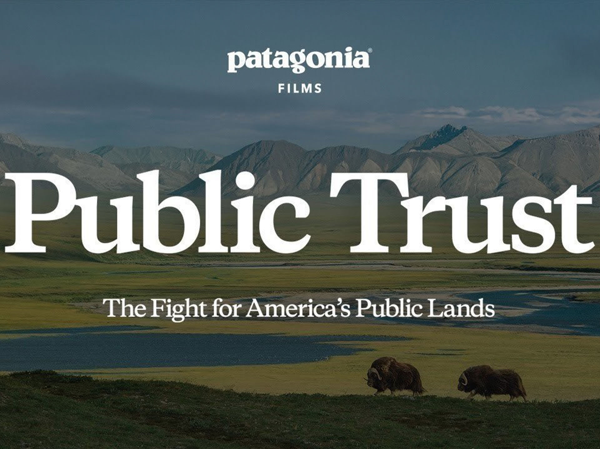 Patagonia Documentary Public Trust