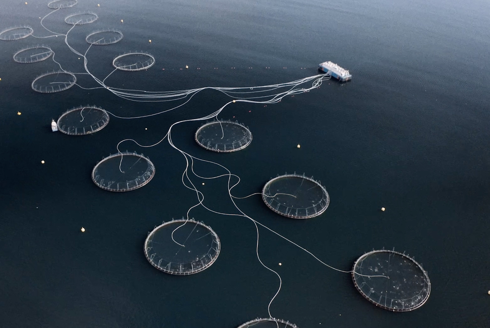 Laxaþjóð | A Salmon Nation – the New Film From Patagonia