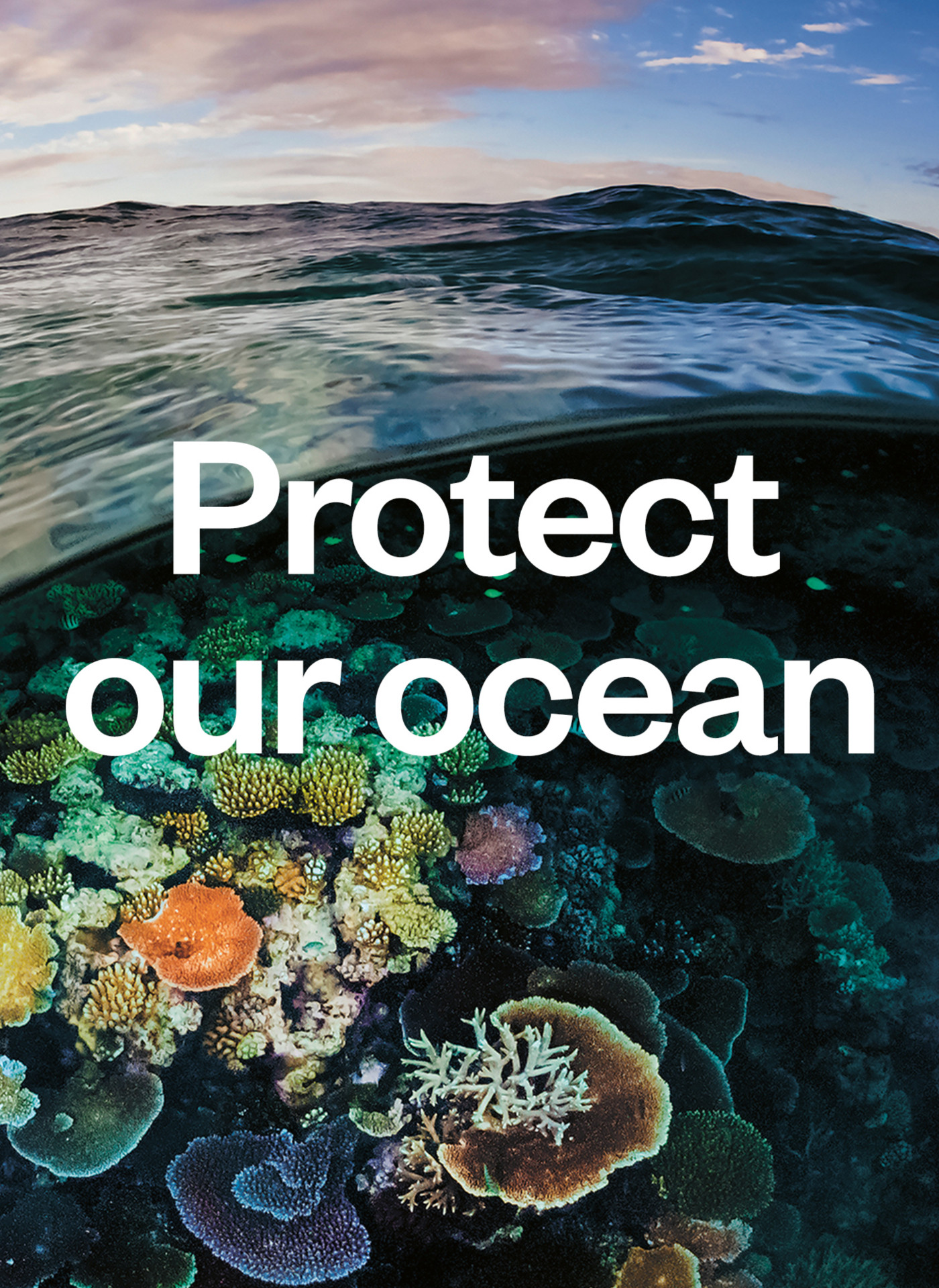 Patagonia's Bottom Trawling campaign