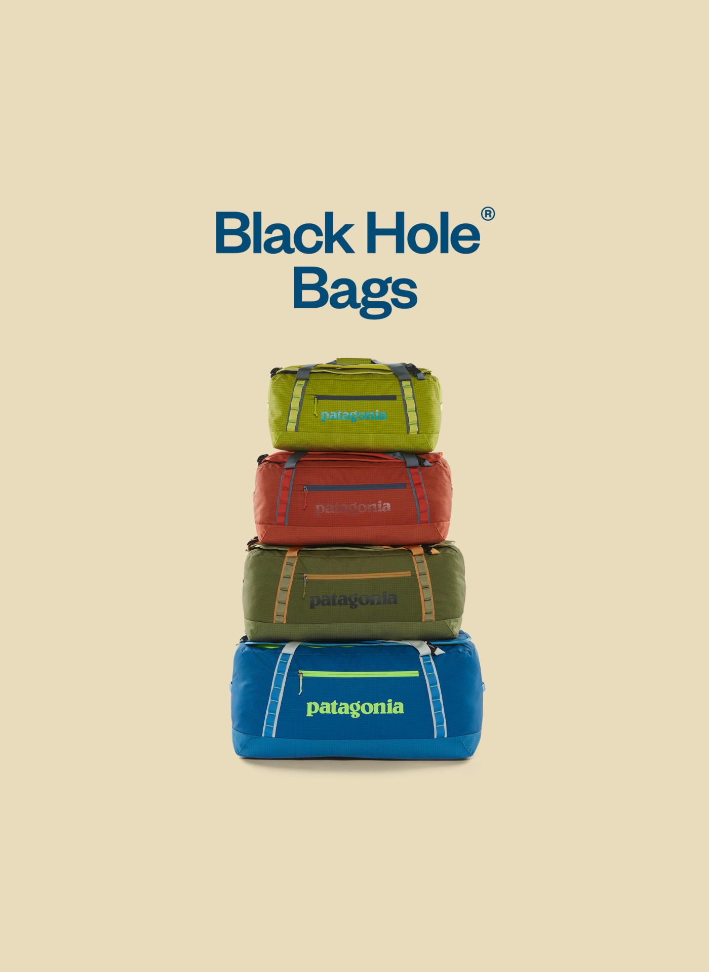 Patagonia's Black Hole campaign